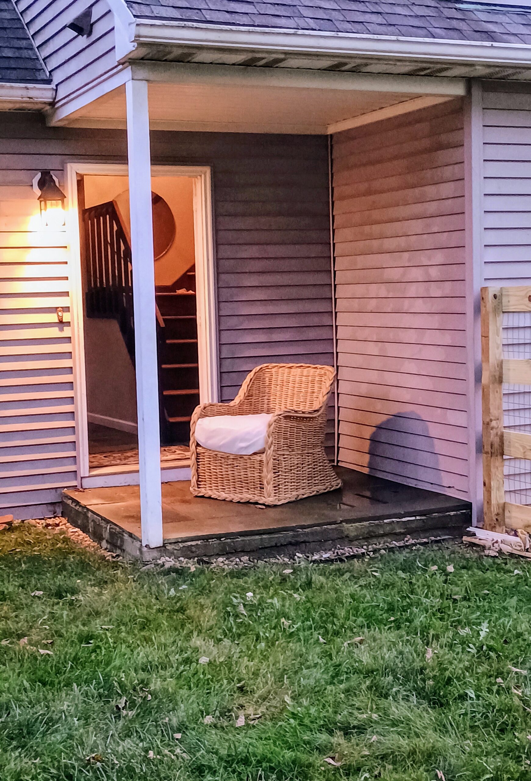 Adorable border collie dog standing playfully in a white bathtub indoors.